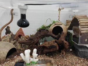 Natural Driftwood for Aquarium Decor Fish Tank Decorations Reptile Decor Driftwood Decor — 3 Pieces 7"-11" — Driftwood Sinks Better