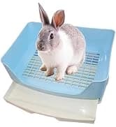 Large Rabbit Litter Box Trainer — collection imagery