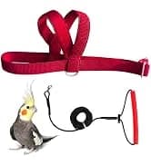 Adjustable Bird Harness with 80-inch Leash — collection imagery