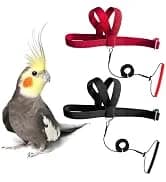 Adjustable Bird Harness with 80-inch Leash — collection imagery