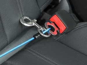 Dog Seat Belt Harness for Car,2pcs Dog Seatbelt of Coated Wire Leash Safety Restraint — Universal Fit