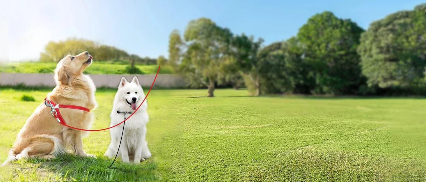 Dog Seat Belt Harness for Car,2pcs Dog Seatbelt of Coated Wire Leash Safety Restraint — collection imagery