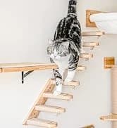 Cat Scratcher Mat — 23.6 X 15.7 Inch Natural Sisal Cat Scratch Mat — collection imagery