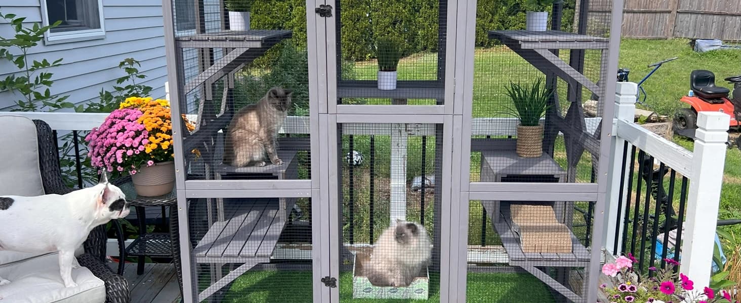 Cat House Window Outdoor Catio Cat Enclosures with 7 Platforms — Nice Cat Catio To Complete A Lovely House!