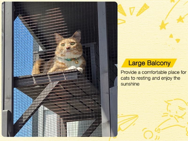 Cat House Window Outdoor Catio Cat Enclosures with 7 Platforms — Voice of the Customer
