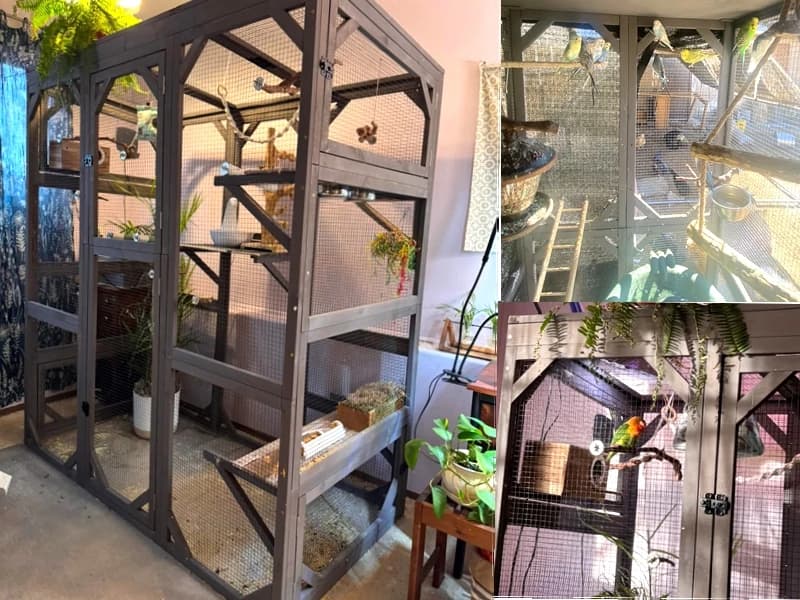 Cat House Window Outdoor Catio Cat Enclosures with 7 Platforms — Voice of the Customer