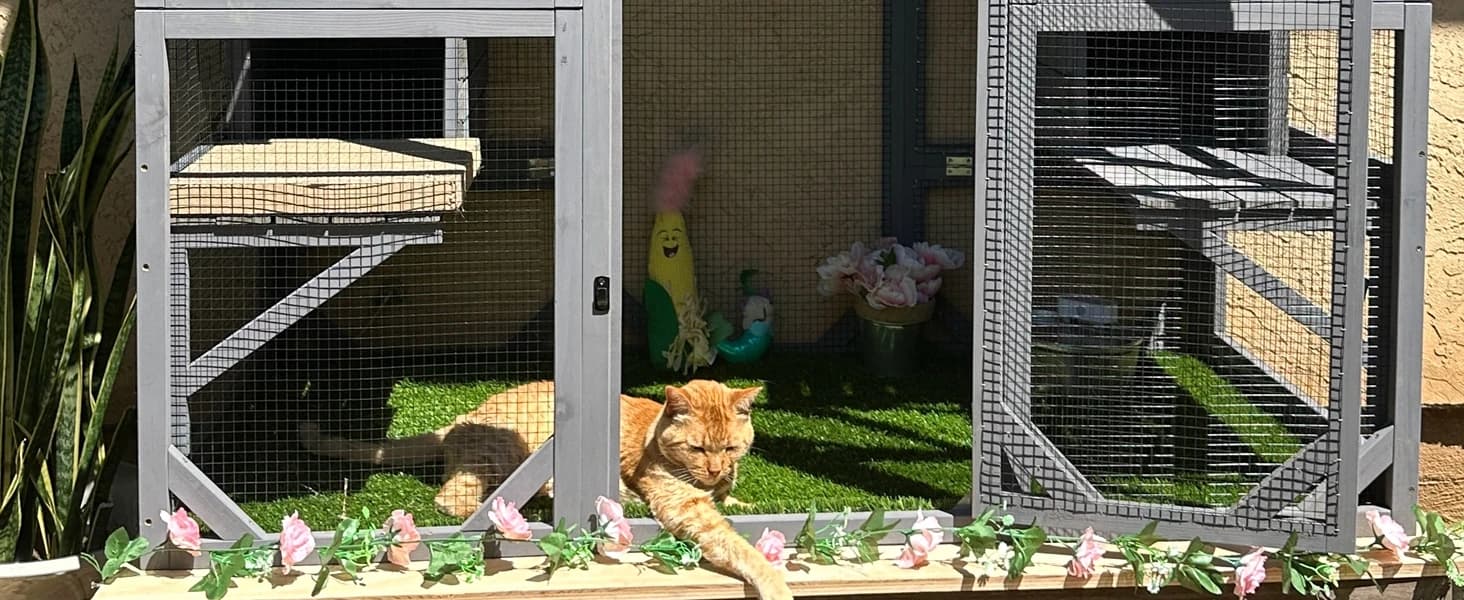 Cat House Window Outdoor Catio Cat Enclosures with 7 Platforms — collection imagery