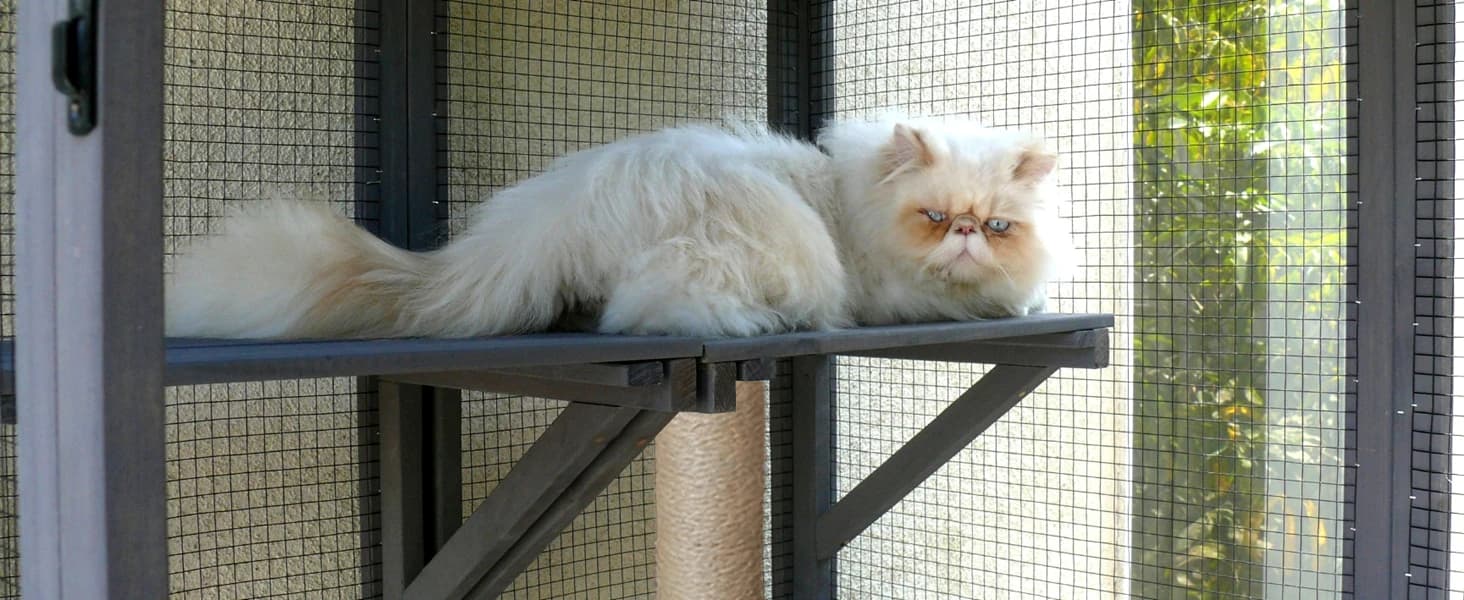 Cat House Window Outdoor Catio Cat Enclosures with 7 Platforms — collection imagery