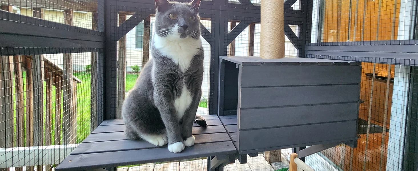 Cat House Window Outdoor Catio Cat Enclosures with 7 Platforms — collection imagery
