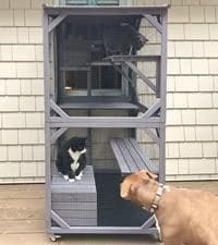 Cat House Window Outdoor Catio Cat Enclosures with 7 Platforms — collection imagery