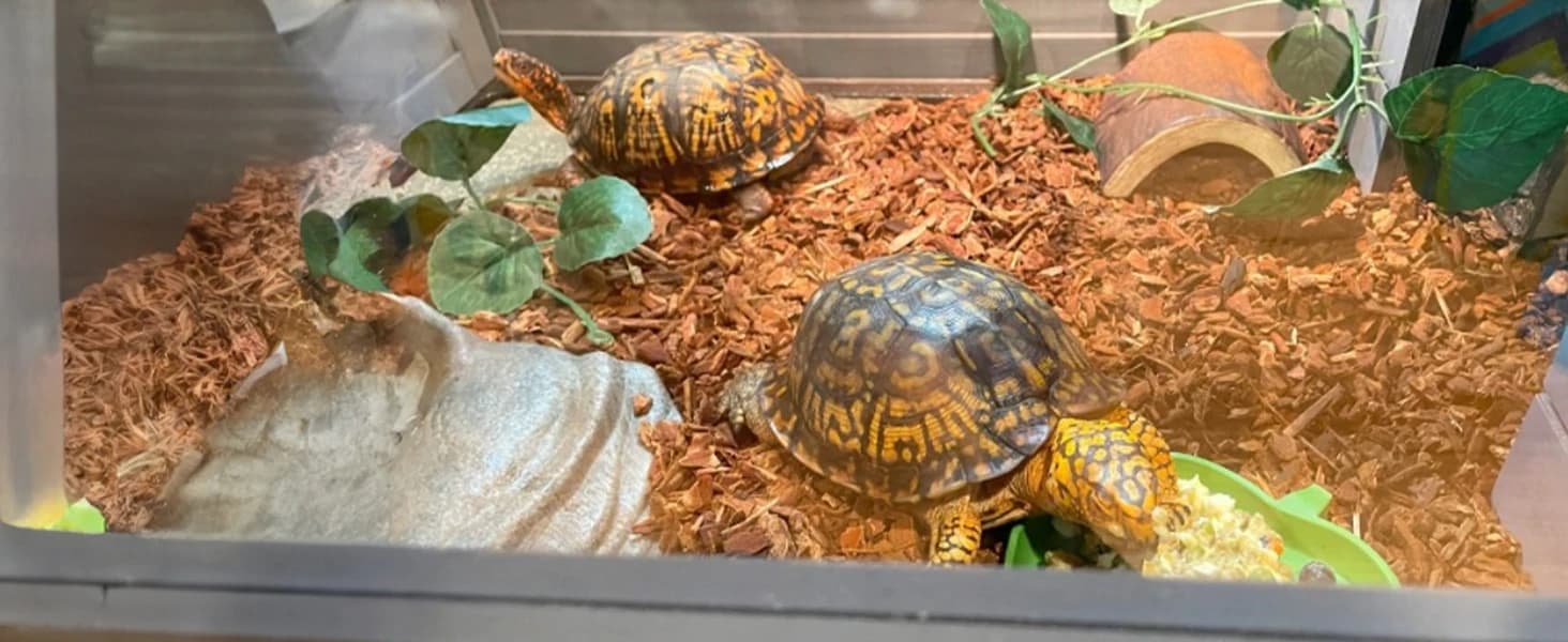 Wooden Tortoise House Large Tortoise Habitat Cage — Indoor Tortoises Enclosure for Small Animals — collection imagery