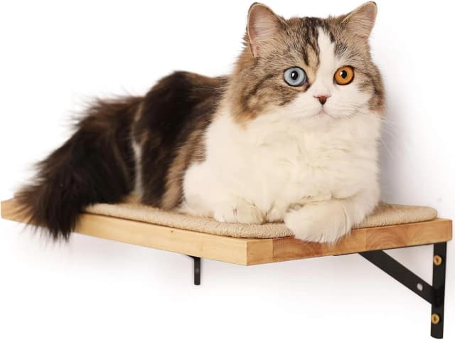 Cat Wall Shelves — 17 x 10 Inch