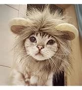 Pet Sailor Costume for Cats Small Dogs Rabbits — collection imagery