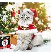 Pet Sailor Costume for Cats Small Dogs Rabbits — collection imagery