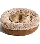 Large Cat Hammock — Raised Dog Bed for Outdoor and Indoor — collection imagery