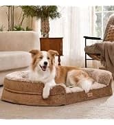 Large Cat Hammock — Raised Dog Bed for Outdoor and Indoor — collection imagery