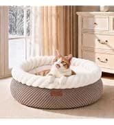Large Cat Hammock — Raised Dog Bed for Outdoor and Indoor — collection imagery