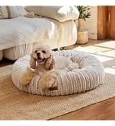 Large Cat Hammock — Raised Dog Bed for Outdoor and Indoor — collection imagery
