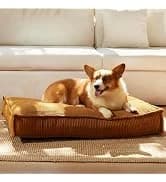 Large Cat Hammock — Raised Dog Bed for Outdoor and Indoor — collection imagery