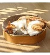 Large Cat Hammock — Raised Dog Bed for Outdoor and Indoor — collection imagery