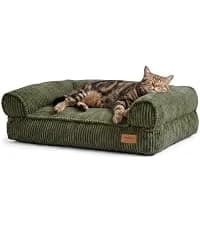 Large Cat Hammock — Raised Dog Bed for Outdoor and Indoor — collection imagery