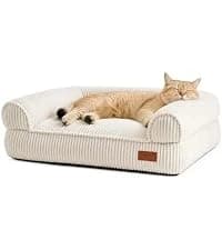 Large Cat Hammock — Raised Dog Bed for Outdoor and Indoor — collection imagery