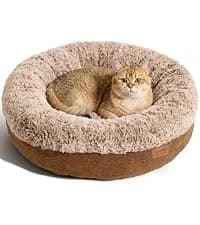 Large Cat Hammock — Raised Dog Bed for Outdoor and Indoor — collection imagery