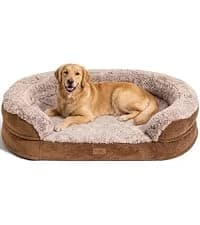 Large Cat Hammock — Raised Dog Bed for Outdoor and Indoor — collection imagery