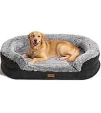 Large Cat Hammock — Raised Dog Bed for Outdoor and Indoor — collection imagery