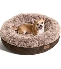 Large Cat Hammock — Raised Dog Bed for Outdoor and Indoor — collection imagery
