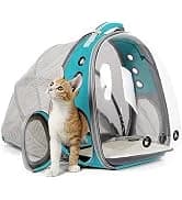 Back Extension Cat Travel Carrier Backpack — collection imagery