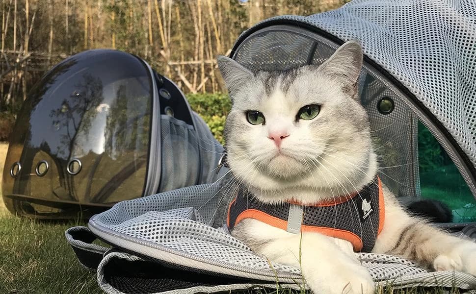 Back Extension Cat Travel Carrier Backpack — Giant tent for rest