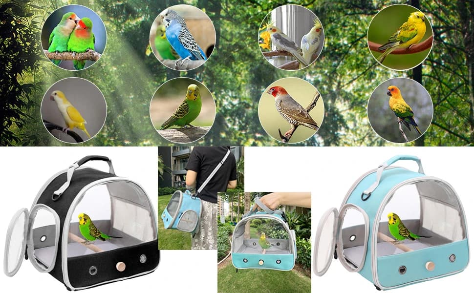 Bird Carrier — Portable Small Bird Parrot Parakeet Carrier with Standing Perch and Mat — product details