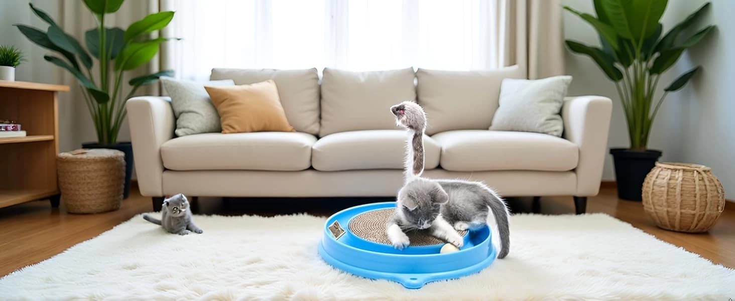 Cat Scratcher Toy with Ball Track for Indoor Cats and Kittens — Cats Love It !!!