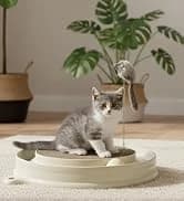 Cat Scratcher Toy with Ball Track for Indoor Cats and Kittens — collection imagery
