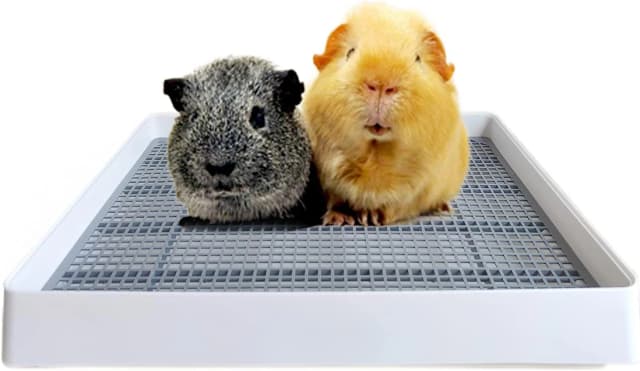 Rabbit Litter Box – Training Potty Tray for Guinea Pig and Small Pets · Spacious Grid Pan with Low Entrance