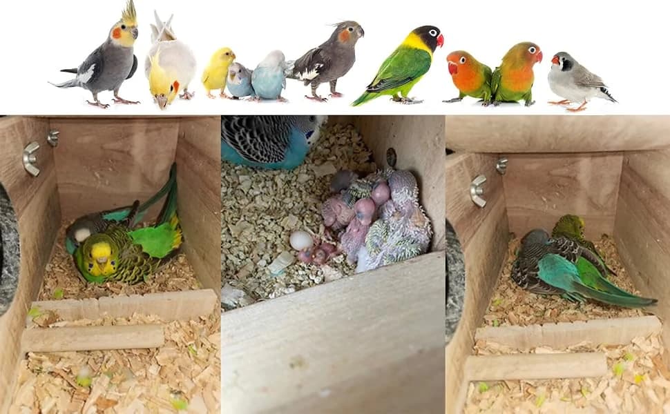 Wood Parakeet Nest Box with Natural Nesting Pads — Encourages natural breeding and nesting behaviors in birds.