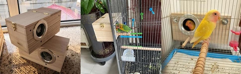 Wood Parakeet Nest Box with Natural Nesting Pads — collection imagery