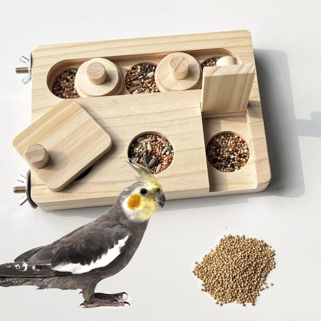 Wooden Bird Foraging Puzzle Toys for Parrots — Parakeet