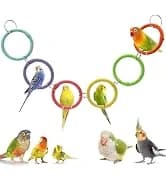 2Pcs Bird Foraging Toys — Slow Feeder Mats for Health — collection imagery