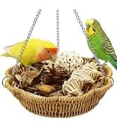 2Pcs Bird Foraging Toys — Slow Feeder Mats for Health — collection imagery