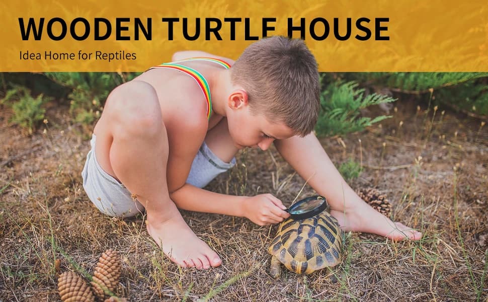 Tortoise Habitat Indoor and Outdoor — product details