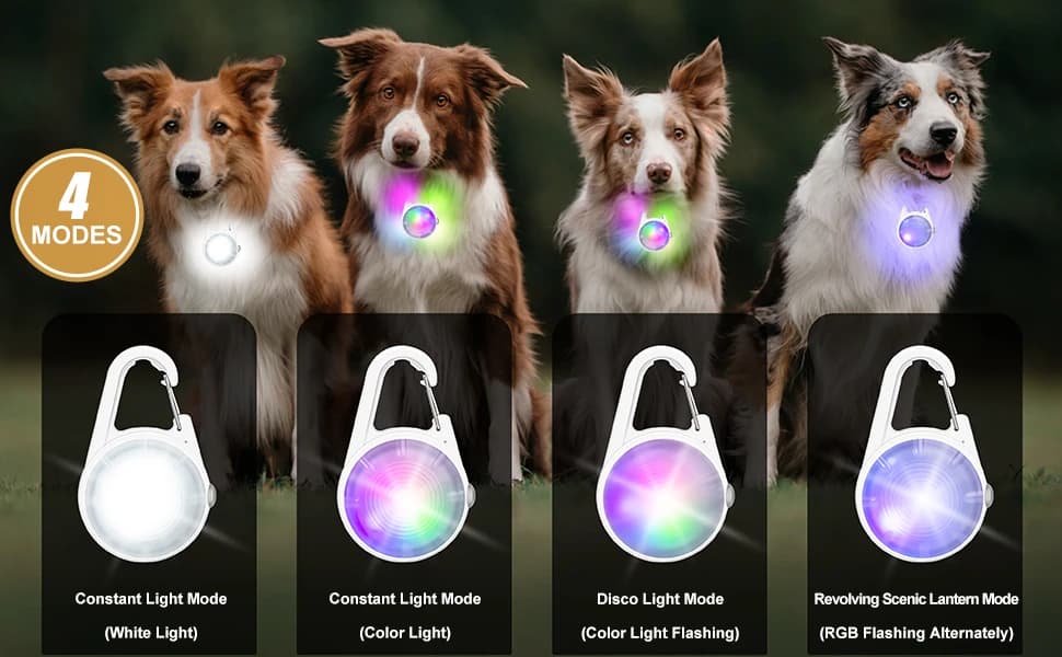 Dog Collar Light — 4 Modes Dog Lights for Night Walking — product details