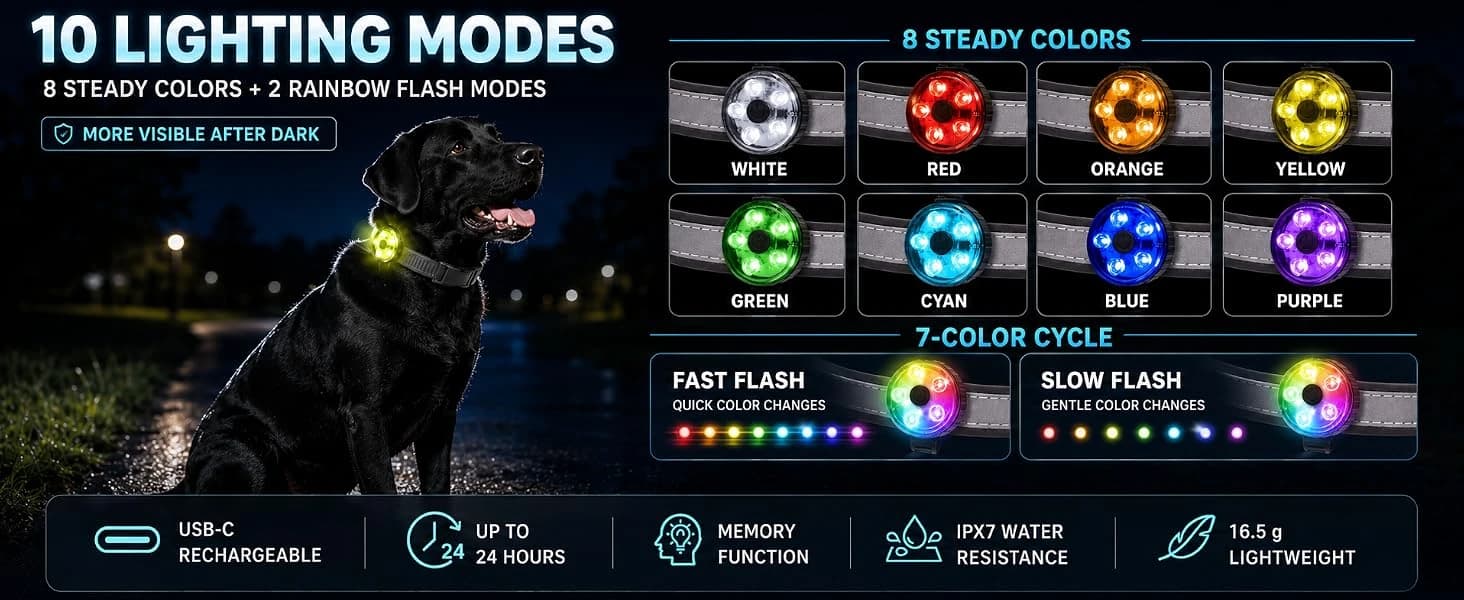 2-Pack Dog Collar Light with Memory Function — product details