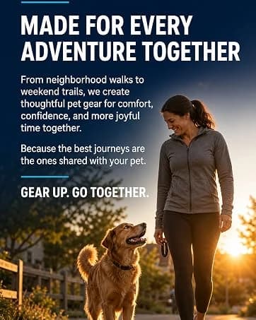 2-Pack Dog Collar Light with Memory Function — collection imagery