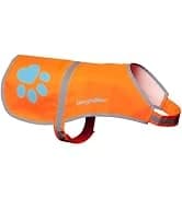 Blaze Orange Dog Vest. Reflective High Visibility in Hunting and Wooded Areas — collection imagery