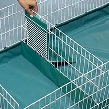 Guinea Habitat Plus Cage — Includes Divider Panel and Hinged Top — Features and Benefits