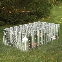 Guinea Habitat Plus Cage — Includes Divider Panel and Hinged Top — Features and Benefits