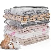 6 Pack Guinea Pigs Fleece Blankets — collection imagery