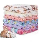6 Pack Guinea Pigs Fleece Blankets — collection imagery